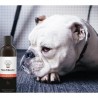 BIO Hundeshampoo - Weisses Fell