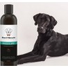 Bio Hundeshampoo - schwarz