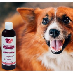 Bio Hundeshampoo - Fuchs