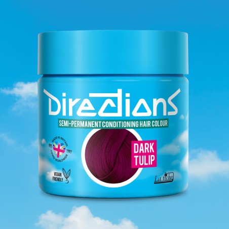 Directions-DarkTulip