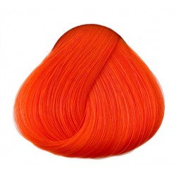 Fluorescent Orange / Directions Mandarin