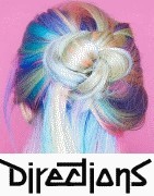 Achetez les couleurs de cheveux originales LaRiche Directions